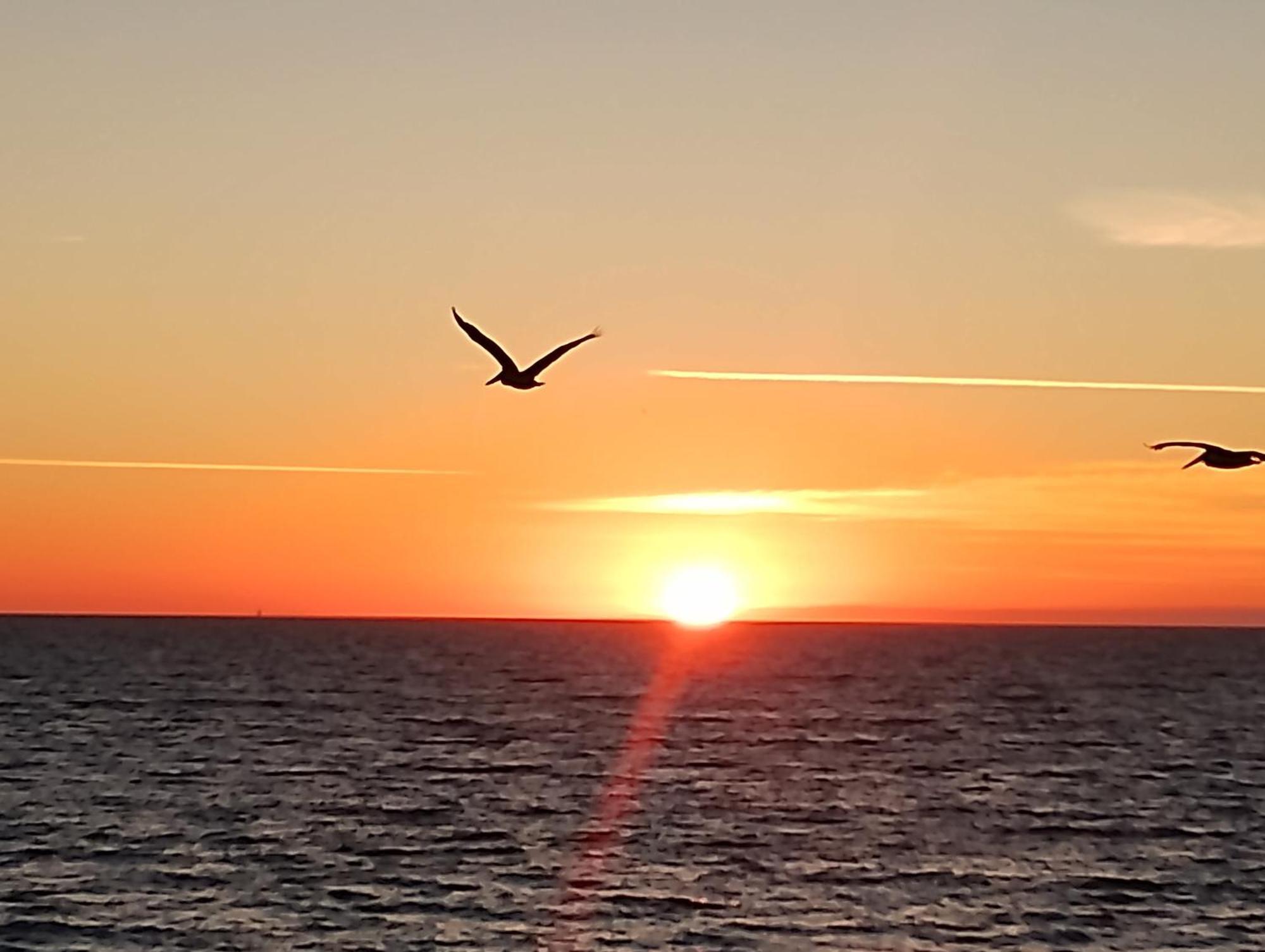 Puerto Peñasco Dolphin Maeva Residencialヴィラ エクステリア 写真