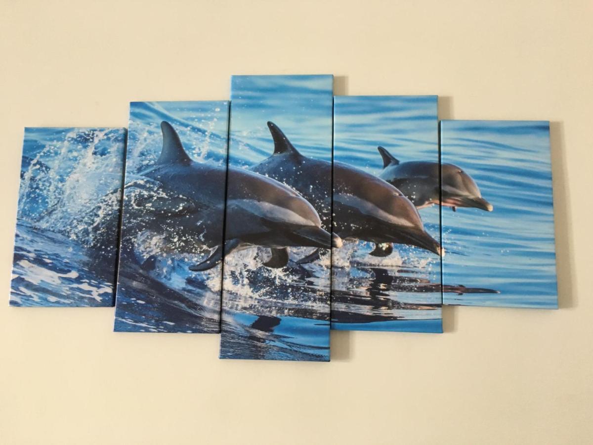 Puerto Peñasco Dolphin Maeva Residencialヴィラ エクステリア 写真